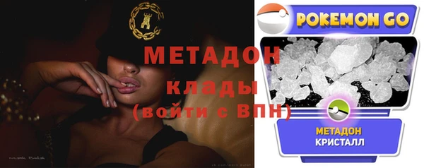 прущие грибы Инта
