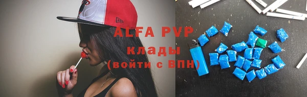 прущие грибы Инта
