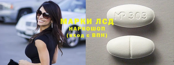 прущие грибы Инта