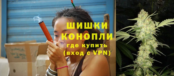 прущие грибы Инта