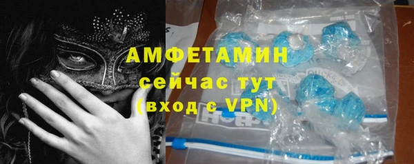 прущие грибы Инта