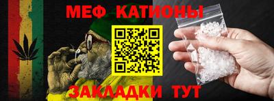 сатива Новозыбков