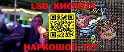 сатива Новозыбков