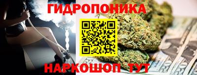 сатива Новозыбков