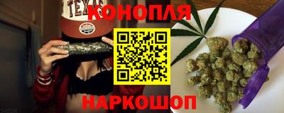 сатива Новозыбков