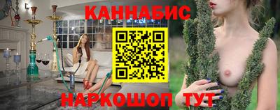 сатива Новозыбков