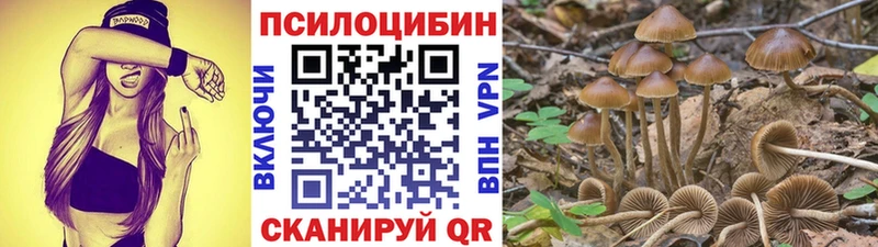 Галлюциногенные грибы Psilocybe как найти закладки МЕГА ONION Назарово